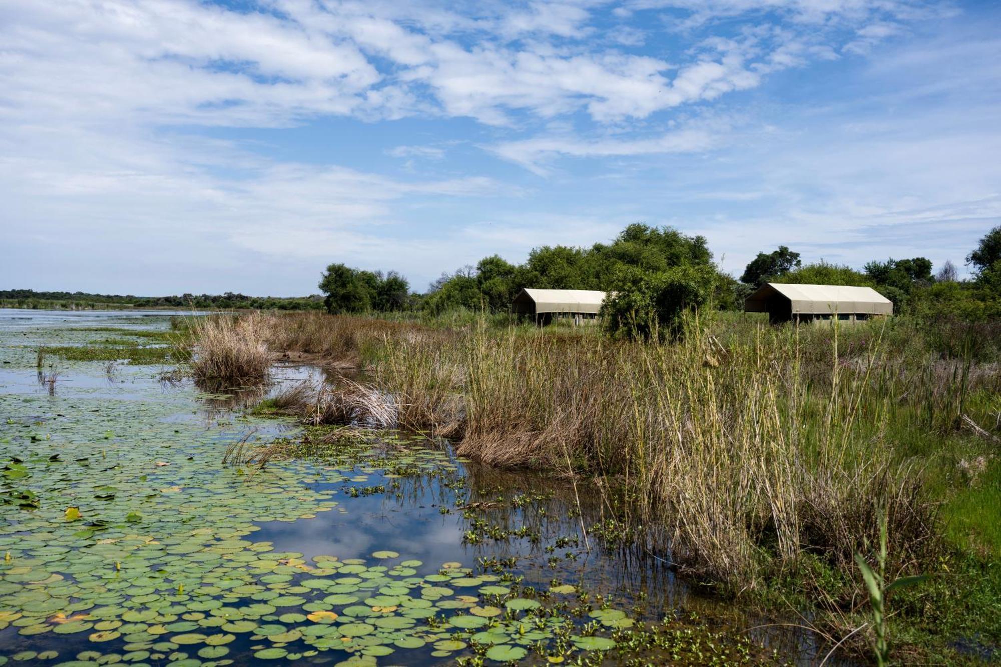 Little Mongena Tented Camp Klipdrift Esterno foto
